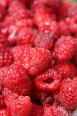 raspberries