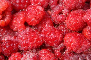 raspberry