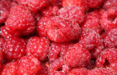 raspberry
