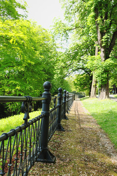 Old iron fence in castle garden