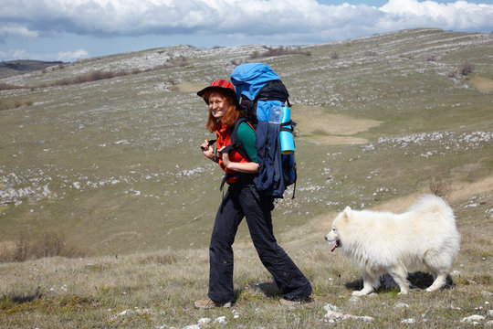 Hicker girl with samoyed dog