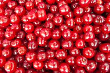 red cherry