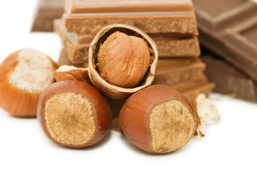 Chocolate and hazelnuts on white background