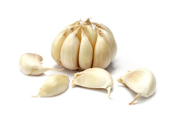Garlic on white background