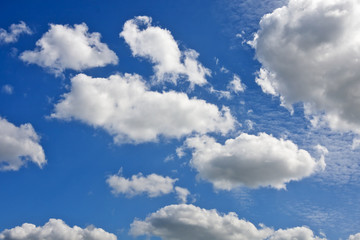 Naklejka na ściany i meble White cumulus clouds and a blue sky