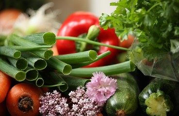 Gartengemüse und Blumen1