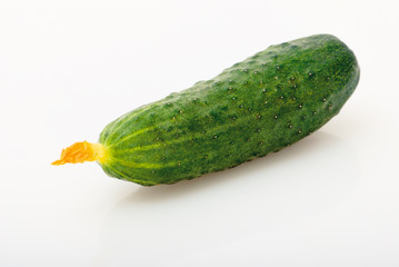 cucumber