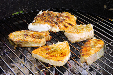 Grillen Fischsteak - grilling steak from fish 12