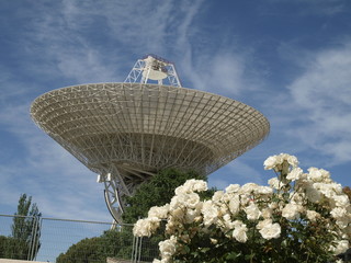 Antena parabólica y flores en España © Javier Cuadrado