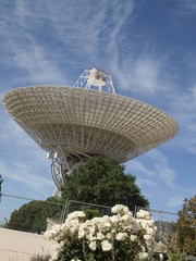 Antena parabólica y flores en España © Javier Cuadrado