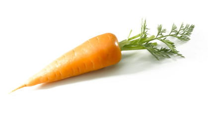 Short carrot isolated on white