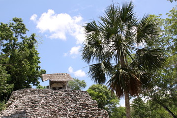 Coba Maya Ruinen in Mexiko