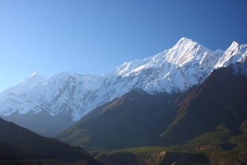 Nilgiri and blue sky