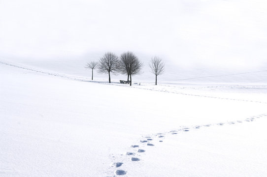 Winterimpression