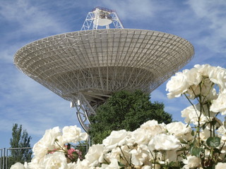 Antena parabólica y flores en España © Javier Cuadrado