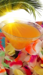 orange cocktail,Hawaiian lei and bright sunshine