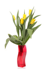 bouquet of fresh tulips