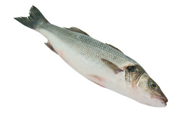 Fresh raw fish isolated on white background
