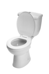 toilet bowl