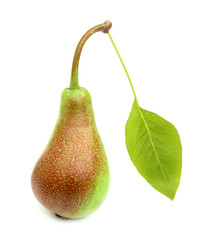 Pear with green leaf