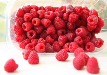 Juicy raspberry - 23685386