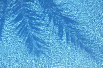 Palmwedelschatten im Swimmingpool