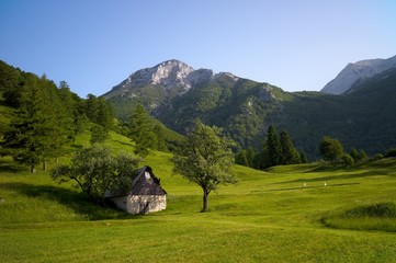 Fototapeta na wymiar Alpine landscape with green grass