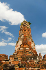 ruins of temple, Ayutthaya, Thailand