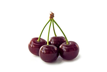 cherry