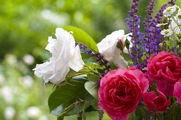 Bouquet of rose close-up