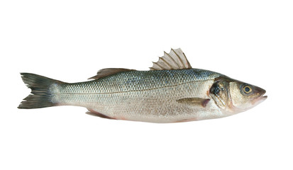 Fototapeta premium Fresh raw fish isolated on white background