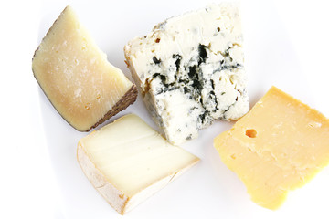four type of delicatessen cheeses on plate