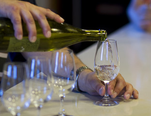 Cata de vino