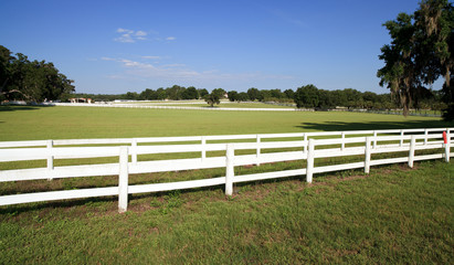 Horse Farm White Picket Fence