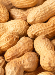 Peanuts