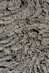 cold volcanic flow in detail