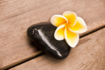 Fleur de frangipanier et galet