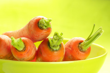 Carrots in dish