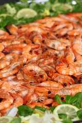 gamberi