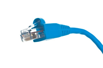 network cable