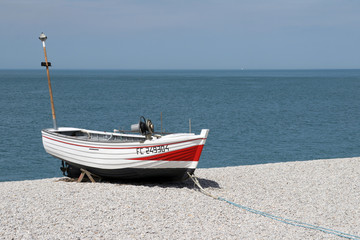 Fototapeta premium boot