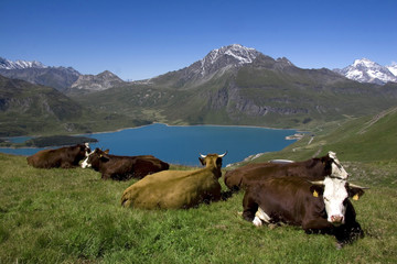 Colle del Moncenisio