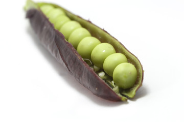 gousse de petits pois violette © Toanet