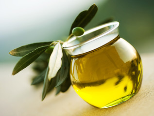 Olive Oil
