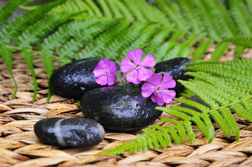 Wellness Spa Steine