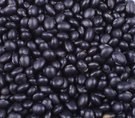 Black soybean