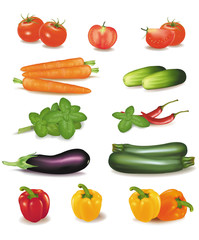 The big colorful group of vegetables. Photo-realistic vector.