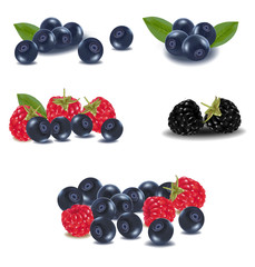Photo-realistic vector illustration. Group of berries.
