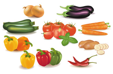 The big colorful group of vegetables. Vector.