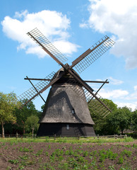 Fototapeta na wymiar The olld windmill in trhe funen village